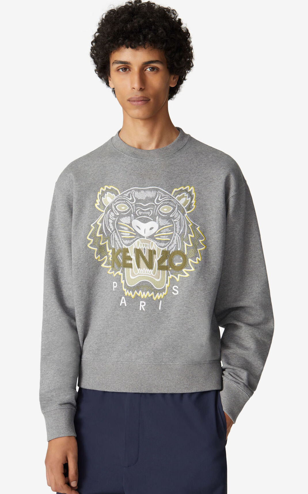Kenzo Tiger Sweatshirt Erkek Gri | 3426-LPKFV